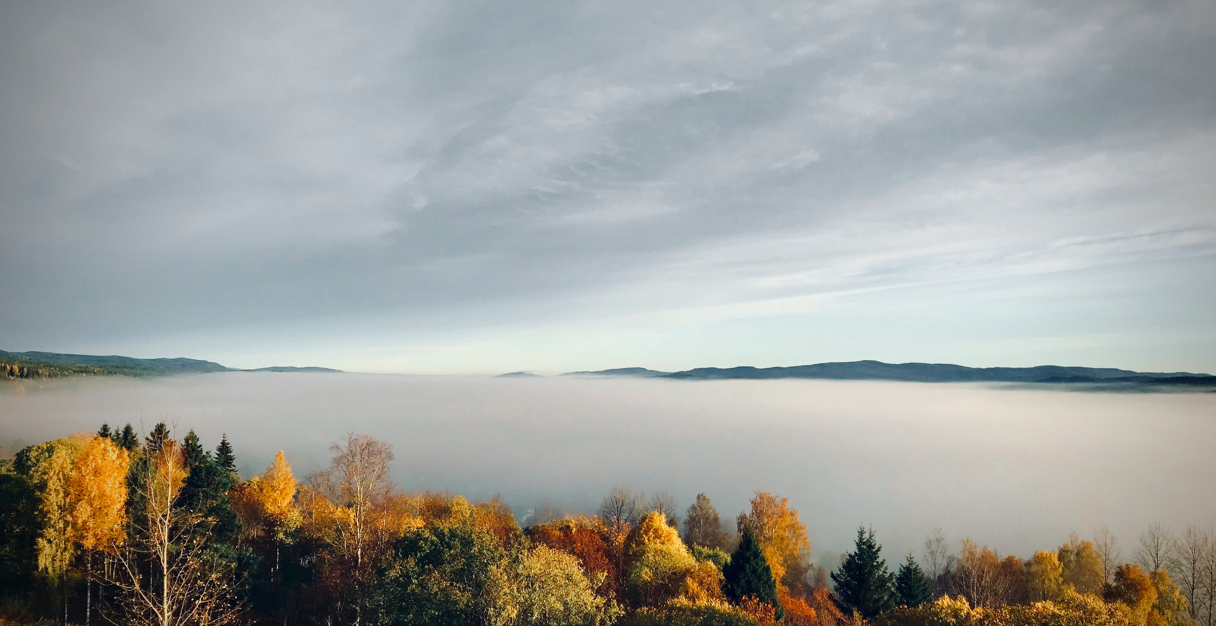 Utsikt over Kongsvinger